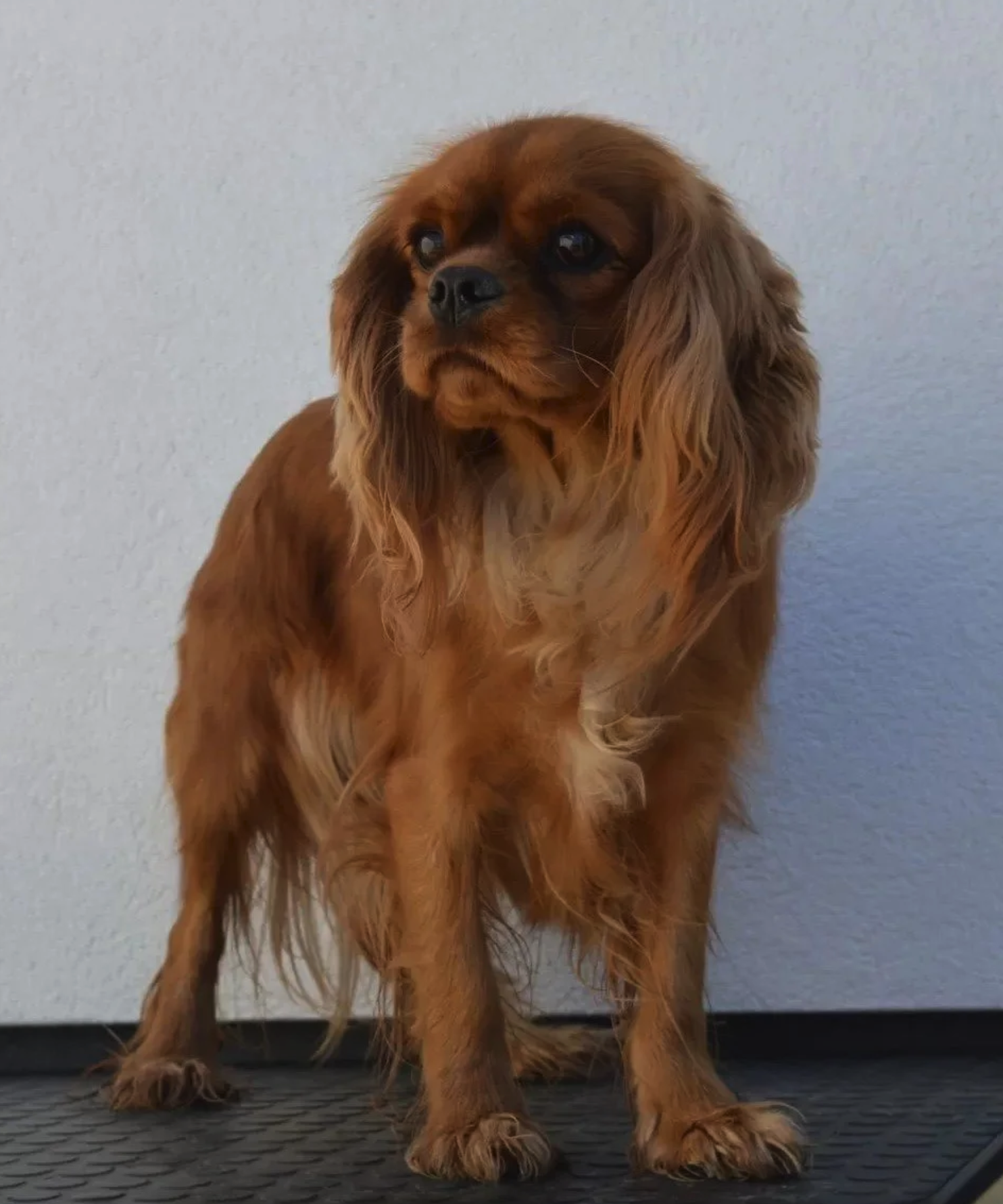 skærmbillede 2026 01 25 kl. 15.56.22